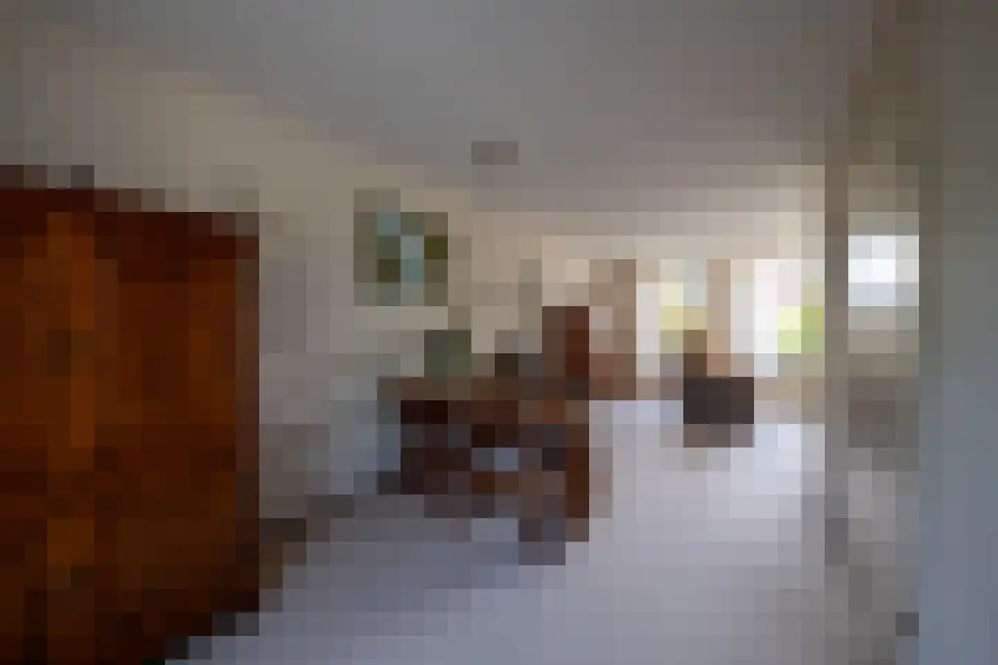Binnenhagen 20 Goor thumbnail 6