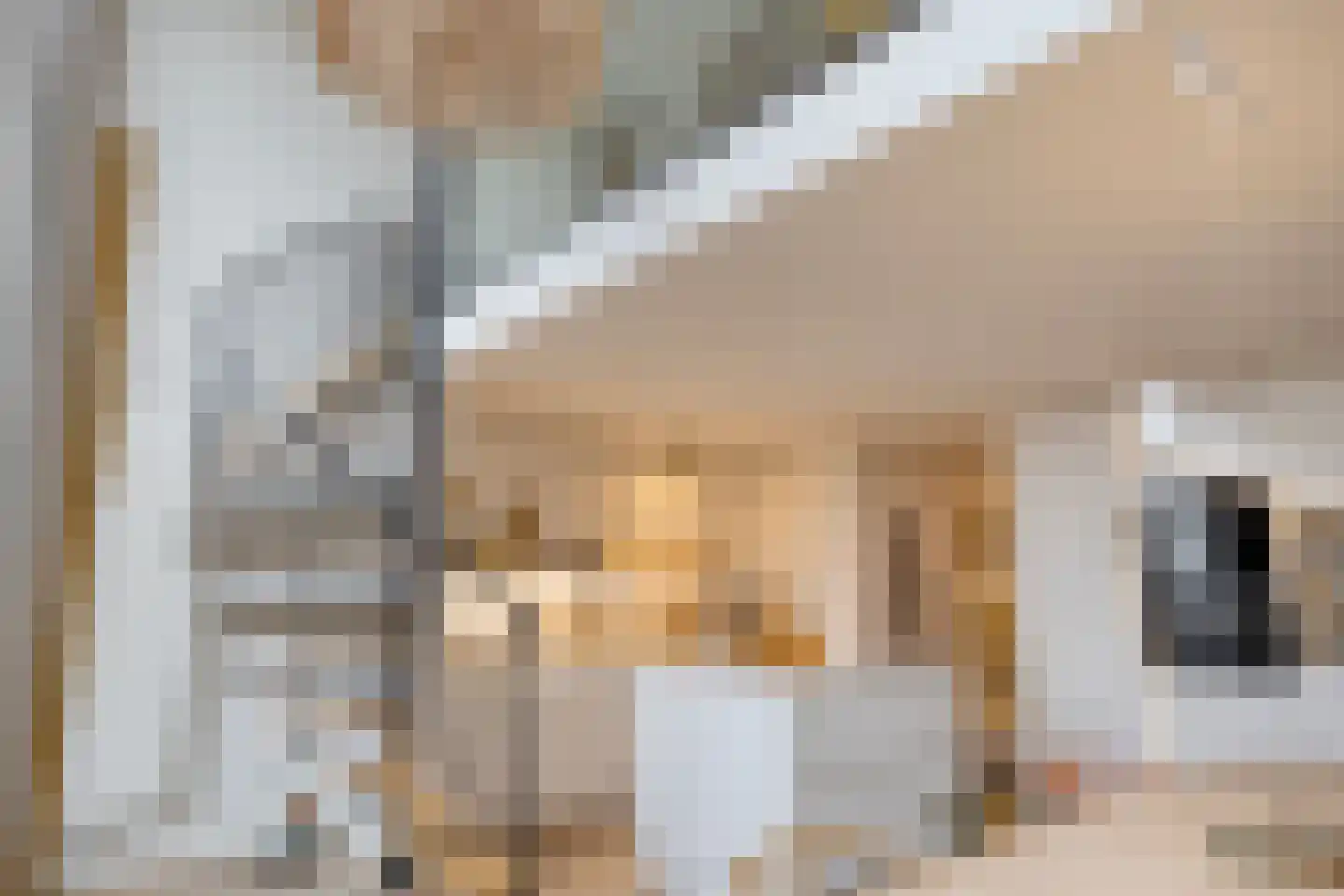 Binnenhaven 12 Wemeldinge thumbnail 15