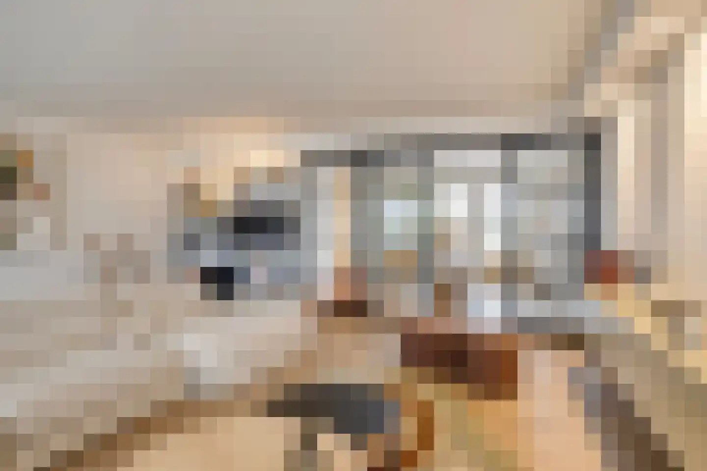 Binnenhaven 12 Wemeldinge thumbnail 22