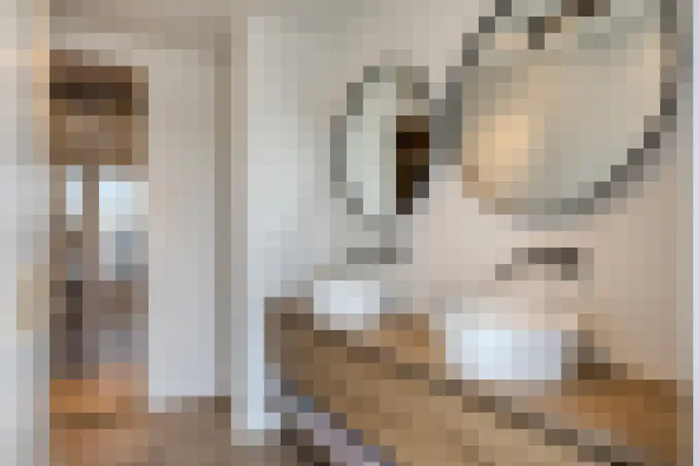Binnenhaven 12 Wemeldinge thumbnail 34