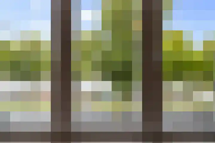 Binnenhaven 122 Den Helder thumbnail 15