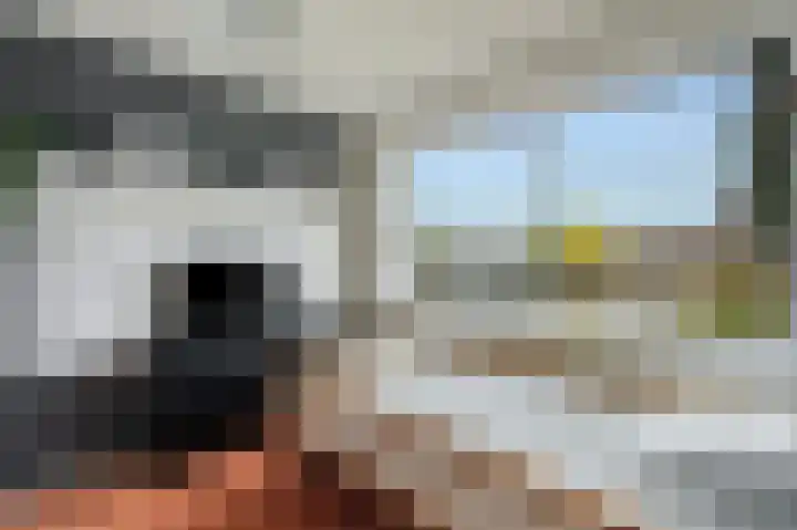 Binnenhaven 122 Den Helder thumbnail 21