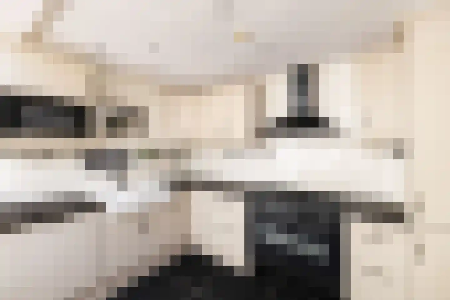 Binnenhaven 129 Den Helder thumbnail 13