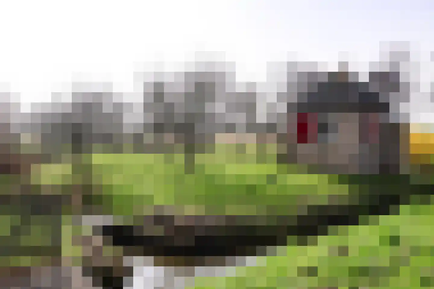 Binnenhaven 2 Nieuwpoort thumbnail 38
