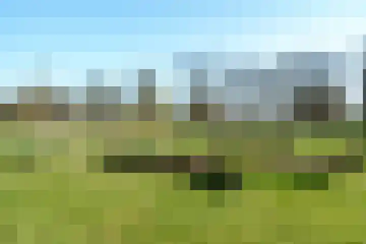 Binnenhaven 47 Wageningen thumbnail 29