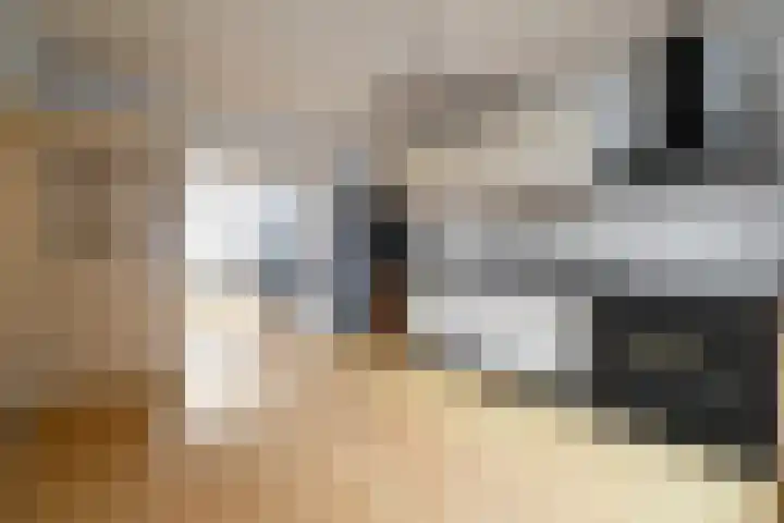 Binnenhaven 63 Den Helder thumbnail 10