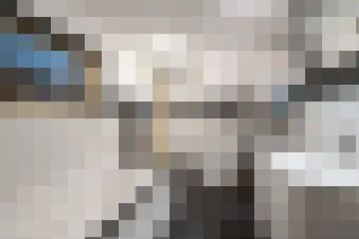 Binnenhaven 63 Den Helder thumbnail 17
