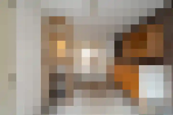 Binnenhaven 63 Den Helder thumbnail 20