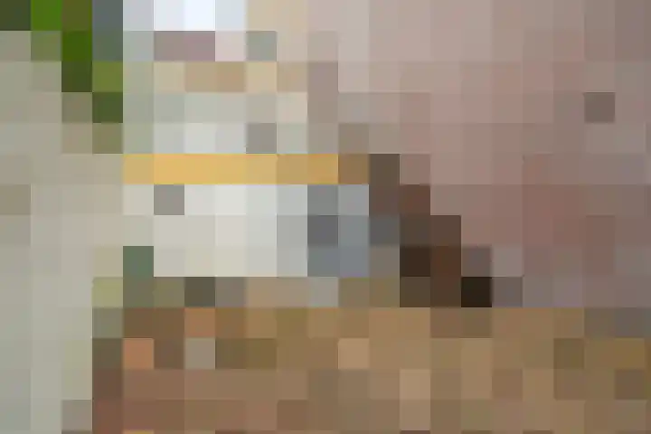 Binnenhaven 63 Den Helder thumbnail 23