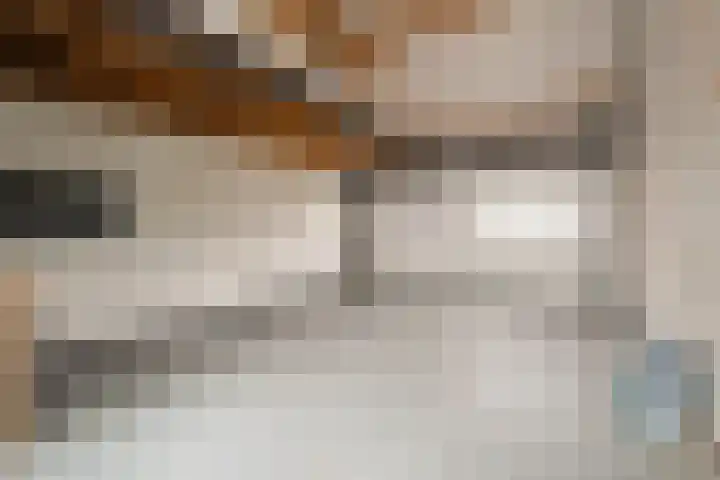Binnenhaven 63 Den Helder thumbnail 24