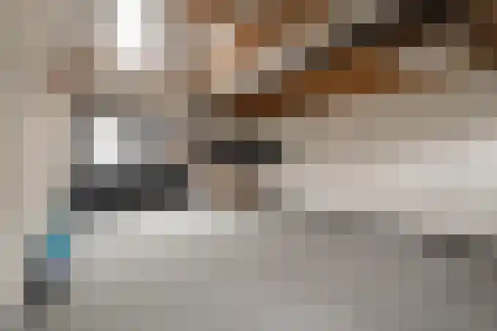 Binnenhaven 63 Den Helder thumbnail 25