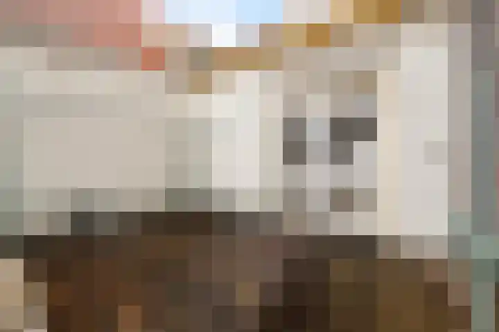Binnenhaven 63 Den Helder thumbnail 28