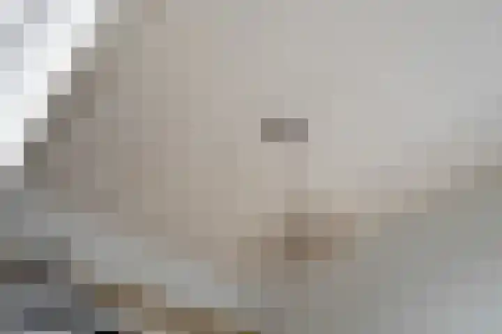 Binnenhaven 63 Den Helder thumbnail 7