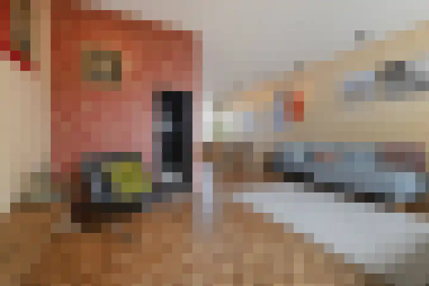 Binnenhaven 88 Den Helder thumbnail 7