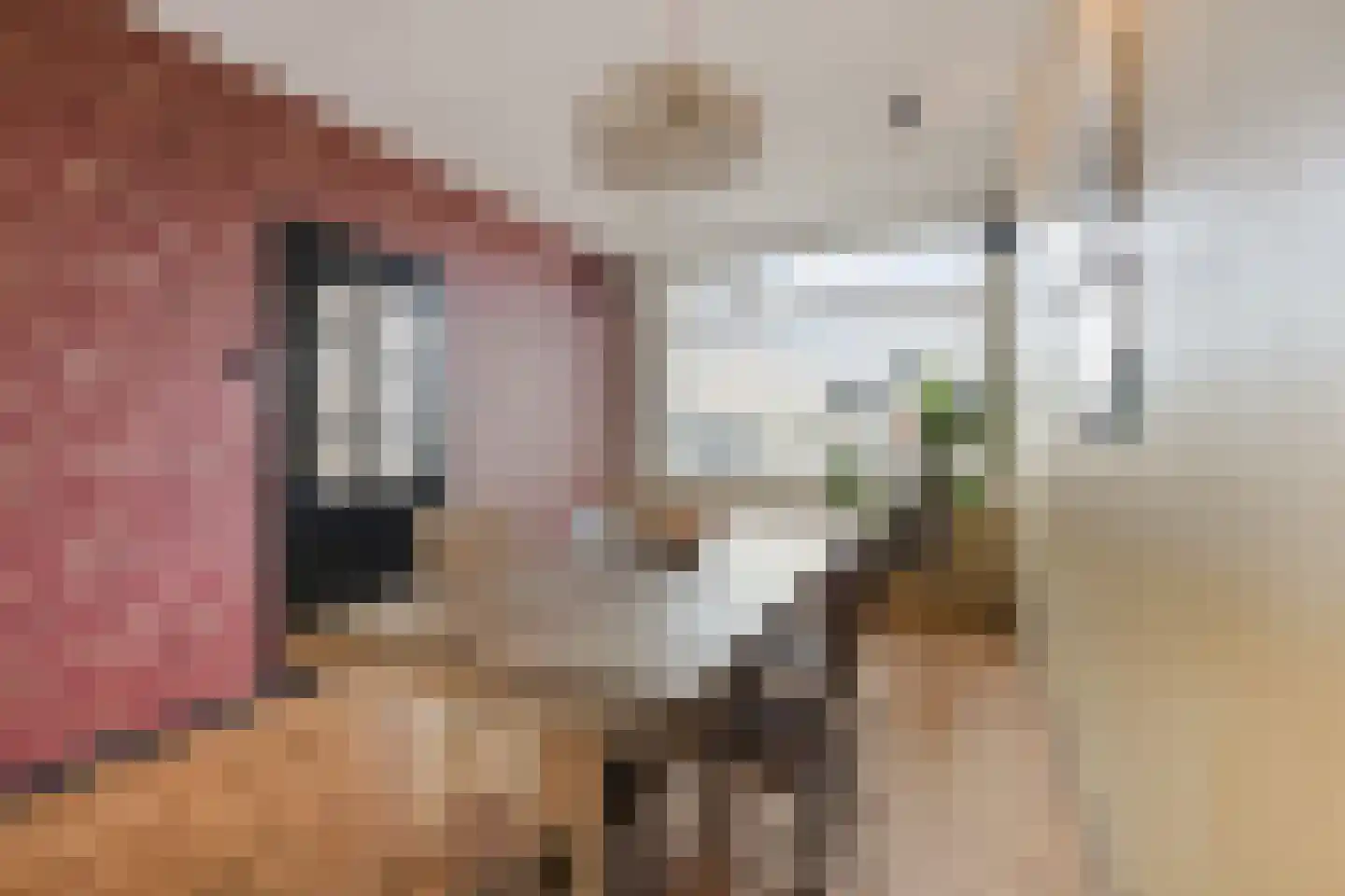Binnenhaven 88 Den Helder thumbnail 8