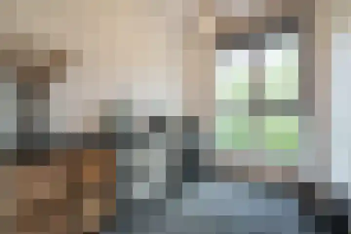 Binnenhaven 9 Wageningen thumbnail 16