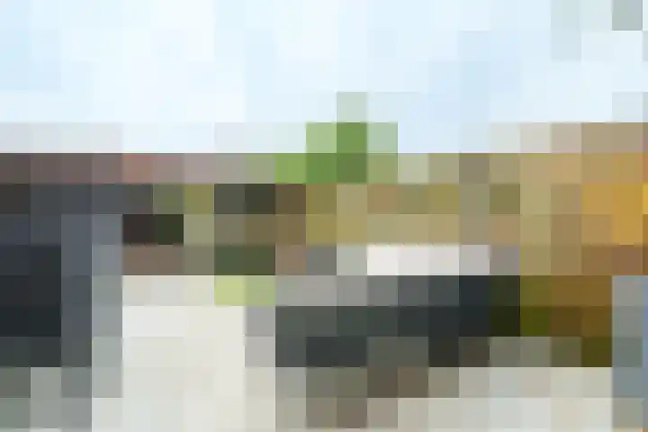 Binnenhaven 9 Wageningen thumbnail 21