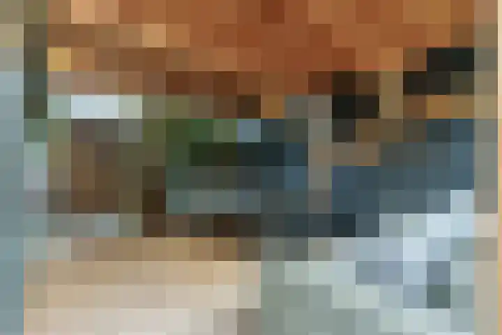 Binnenhaven 9 Wageningen thumbnail 23