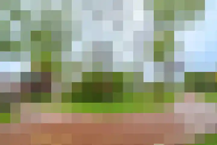 Binnenhaven 9 Wageningen thumbnail 26