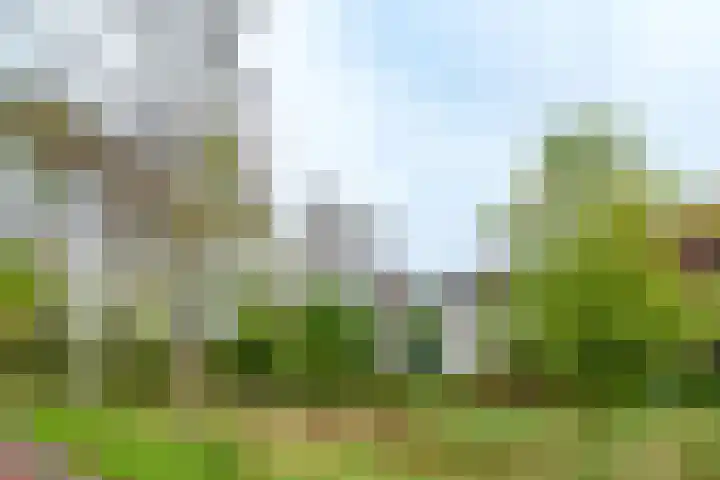 Binnenhaven 9 Wageningen thumbnail 27