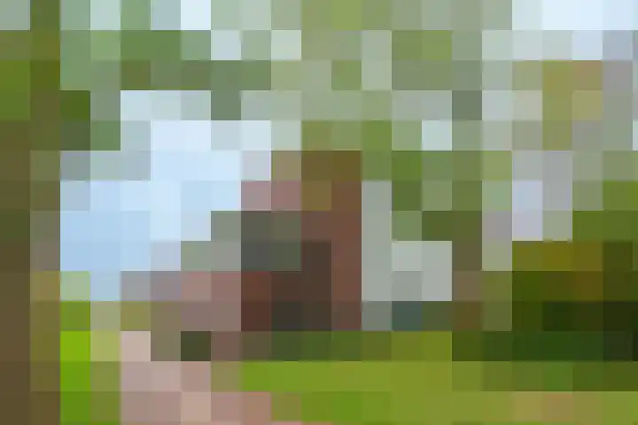 Binnenhaven 9 Wageningen thumbnail 4