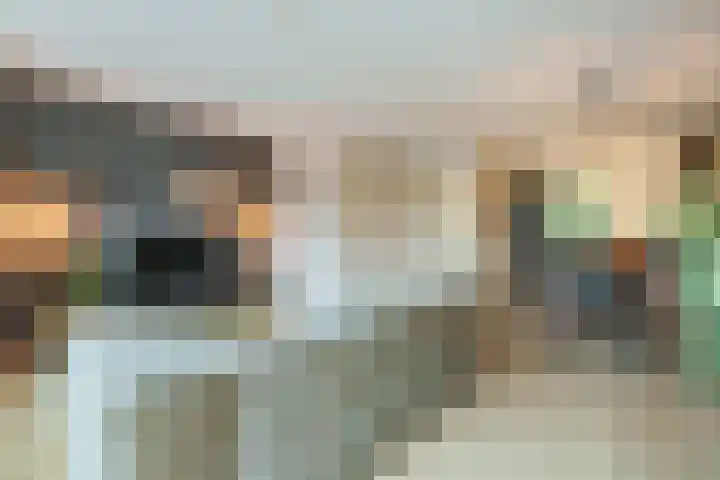 Binnenhaven 9 Wageningen thumbnail 8