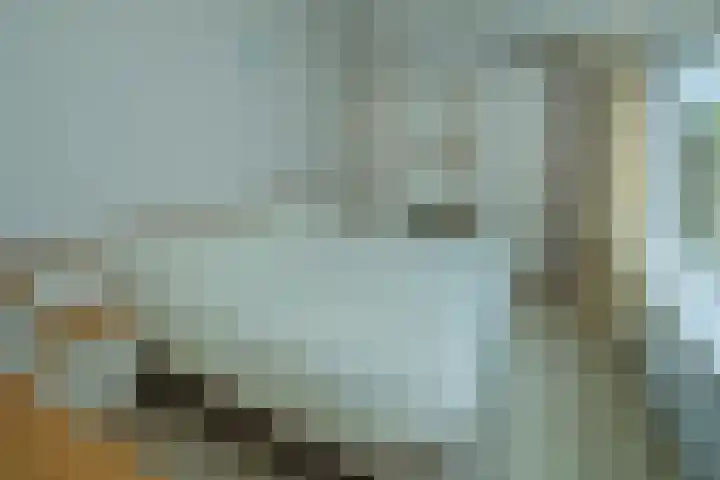 Binnenhei 10 Veldhoven thumbnail 11