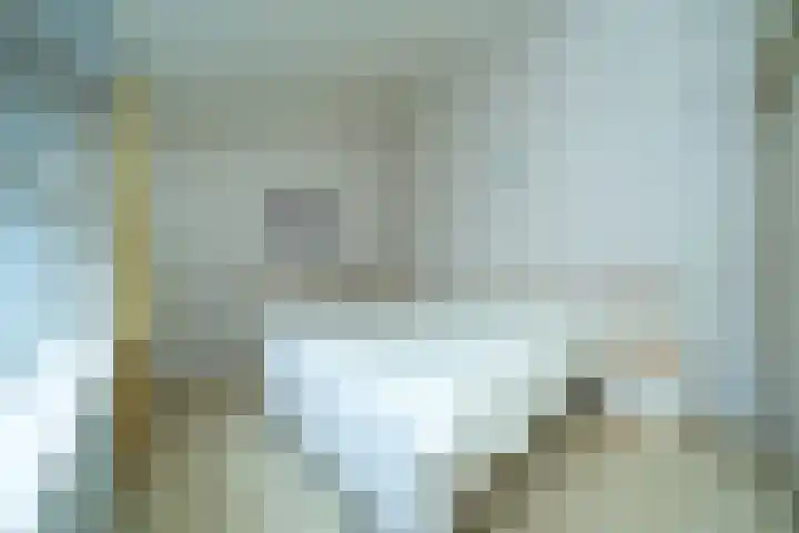Binnenhei 10 Veldhoven thumbnail 12