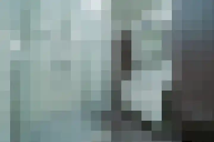 Binnenhei 10 Veldhoven thumbnail 13