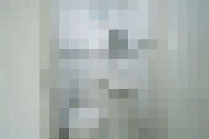 Binnenhei 10 Veldhoven thumbnail 14
