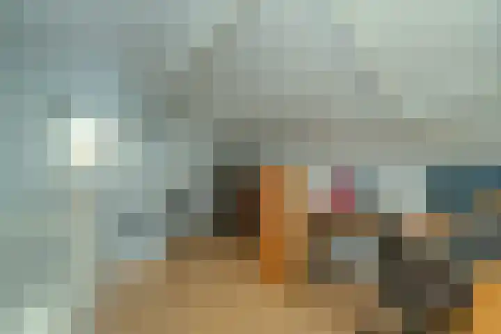 Binnenhei 10 Veldhoven thumbnail 15