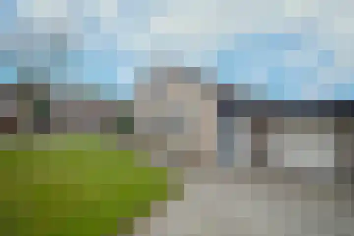Binnenhei 10 Veldhoven thumbnail 20