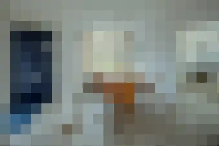 Binnenhei 10 Veldhoven thumbnail 4