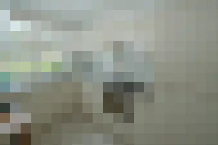 Binnenhei 10 Veldhoven thumbnail 9