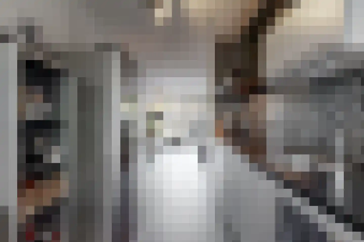 Binnenhoek 24 Tiel thumbnail 12