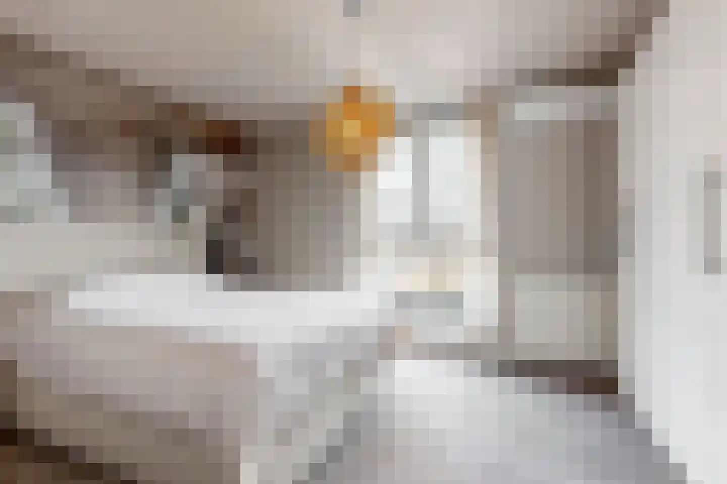 Binnenhoek 24 Tiel thumbnail 15