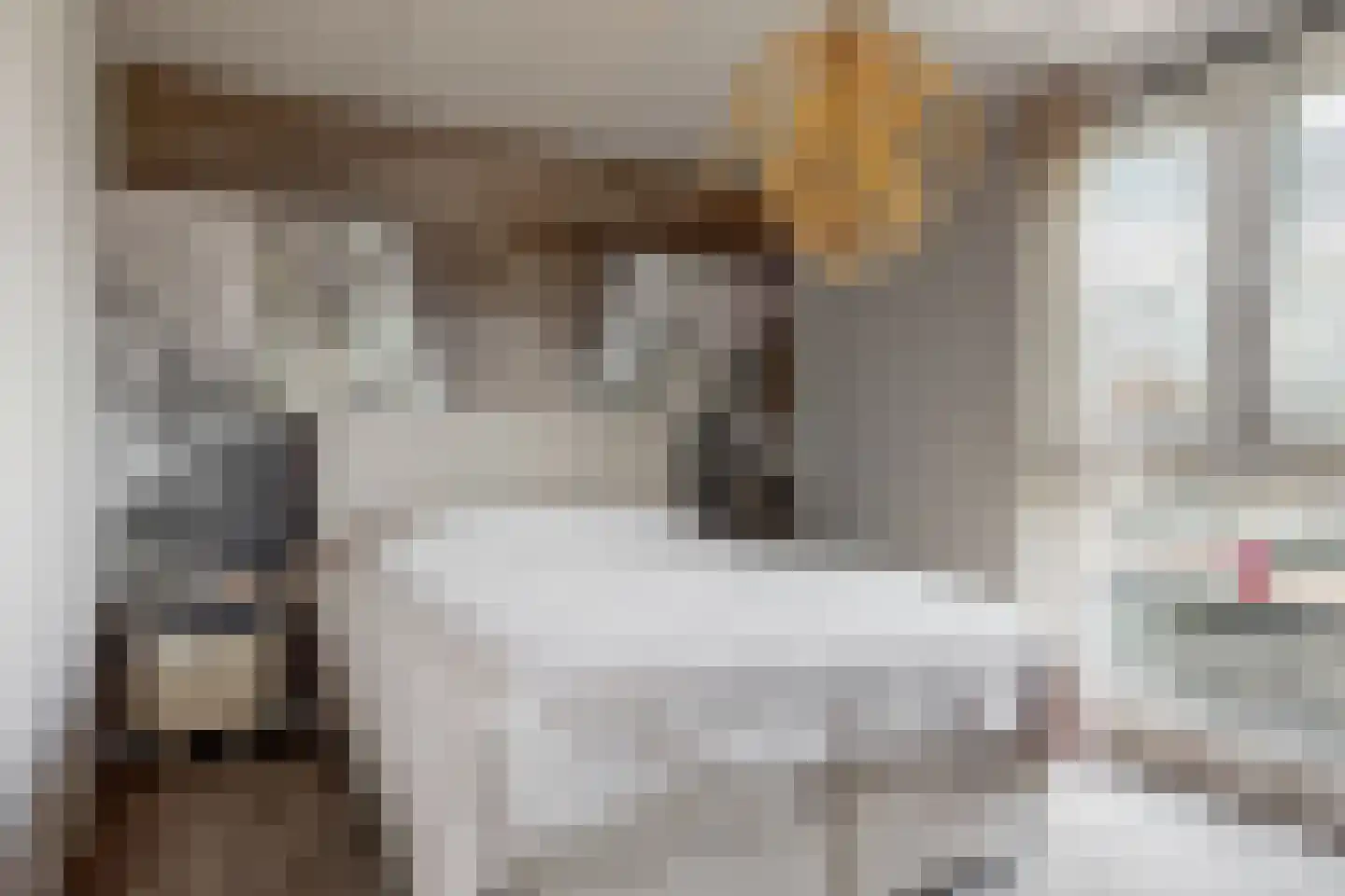 Binnenhoek 24 Tiel thumbnail 16
