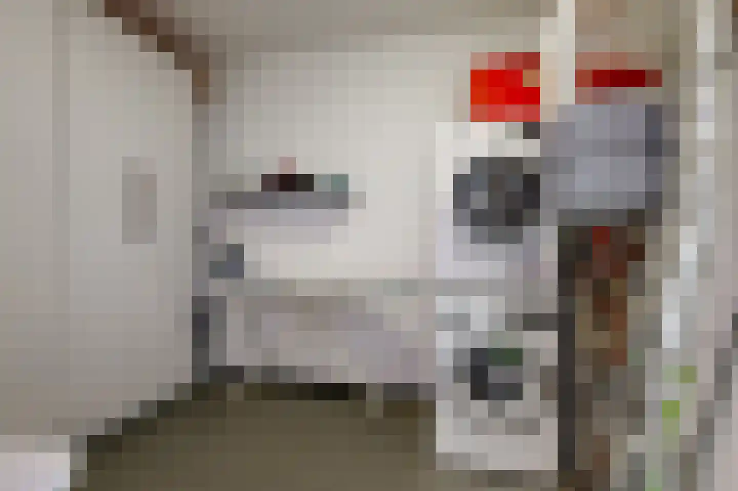 Binnenhoek 24 Tiel thumbnail 25
