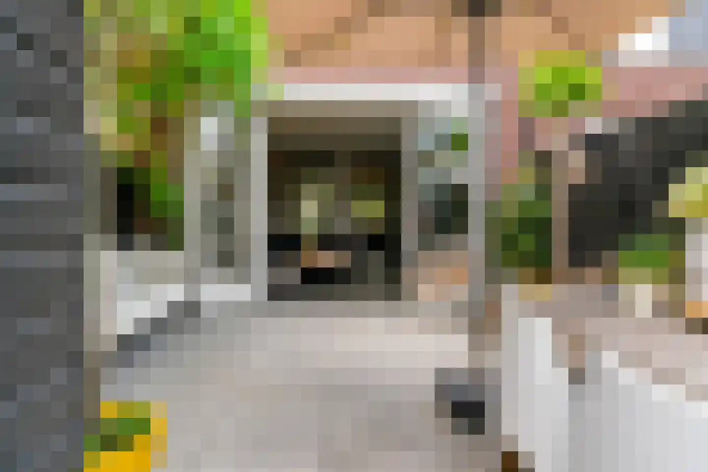 Binnenhoek 24 Tiel thumbnail 30