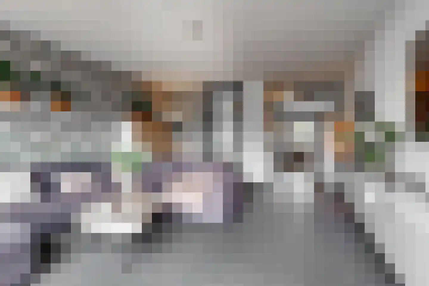 Binnenhoek 24 Tiel thumbnail 8