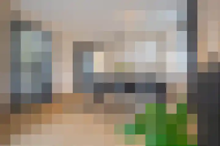 Binnenhoek 58 Tiel thumbnail 22