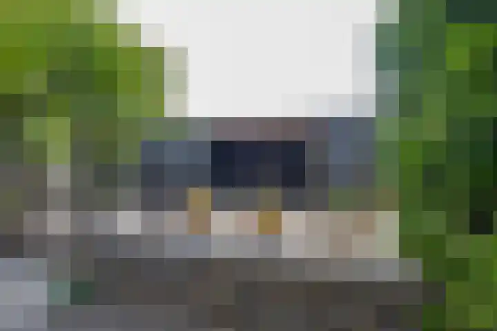 Binnenhoek 58 Tiel thumbnail 38