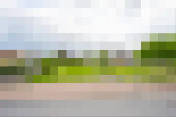 Binnenhoek 58 Tiel thumbnail 5