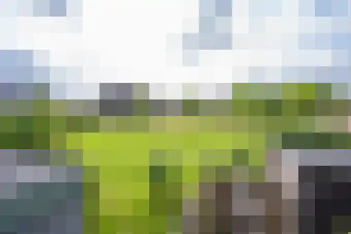 Binnenhoek 58 Tiel thumbnail 59