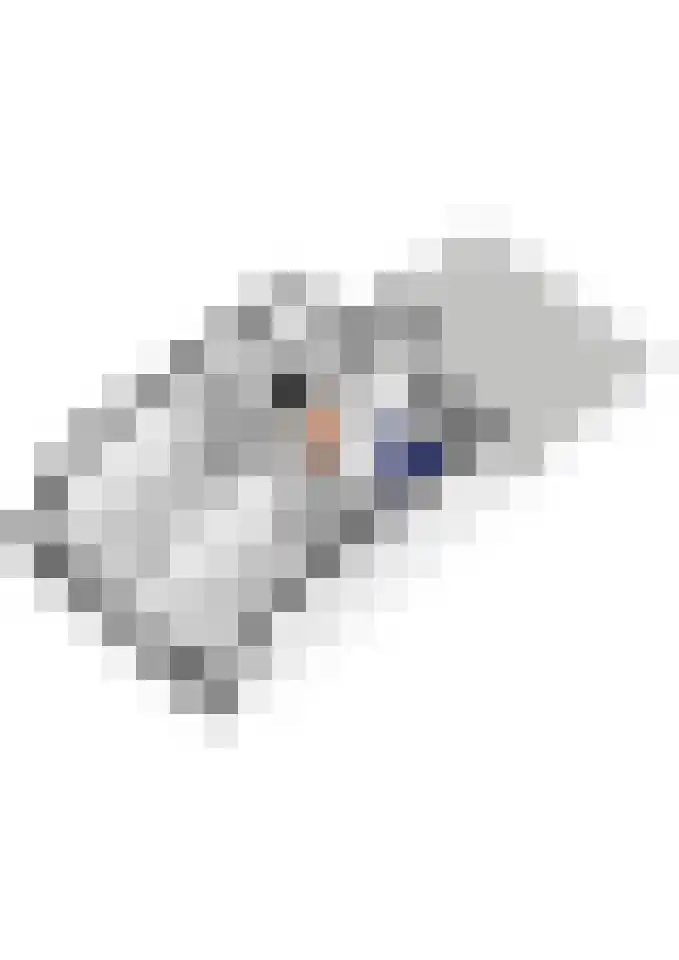Binnenhoek 58 Tiel thumbnail 63