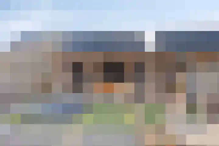 Binnenhoek 6 Kampen thumbnail 35