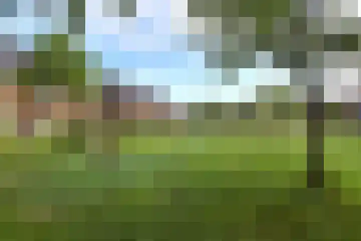 Binnenhoek 6 Kampen thumbnail 44