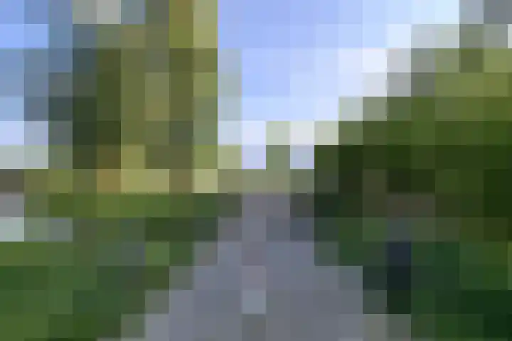 Binnenhoek 6 Kampen thumbnail 47