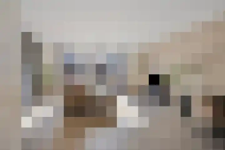 Binnenhoek 6 Kampen thumbnail 8