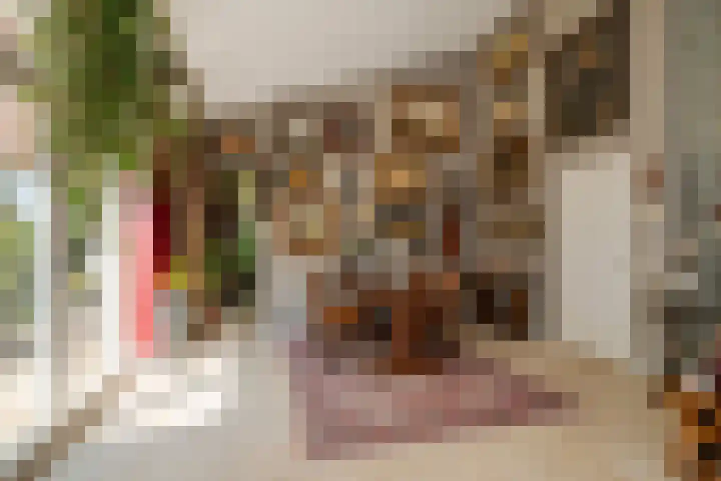 Binnenhof 11 Etten-Leur thumbnail 12